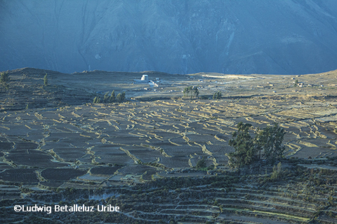 Riding colca